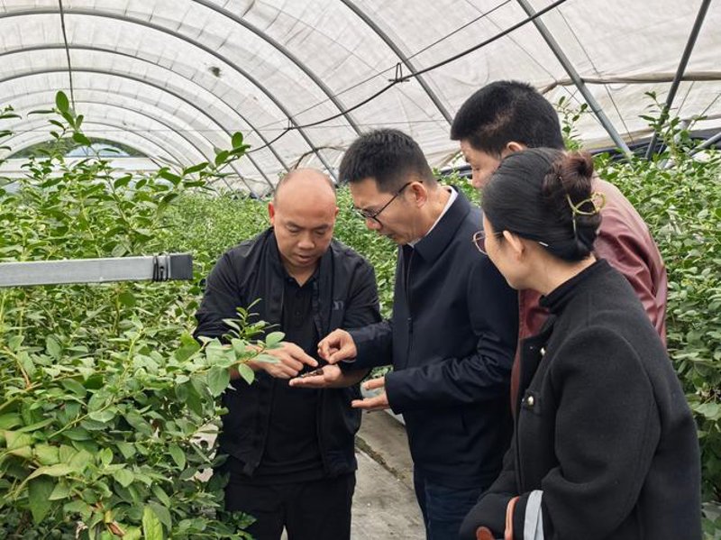 农业技术：让传统农业焕然一新