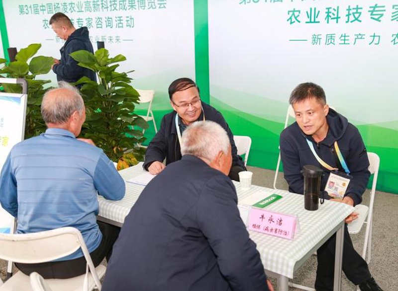 现代农业趋势：粮食种植的发展与挑战