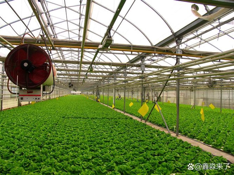 现代农业的肥料革命：种子与化肥的重要性